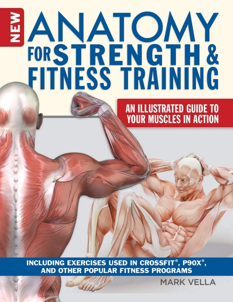 Most Important Fitness Exercises at Home